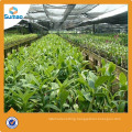 Hot selling agricultural shade net shade cloth made in China